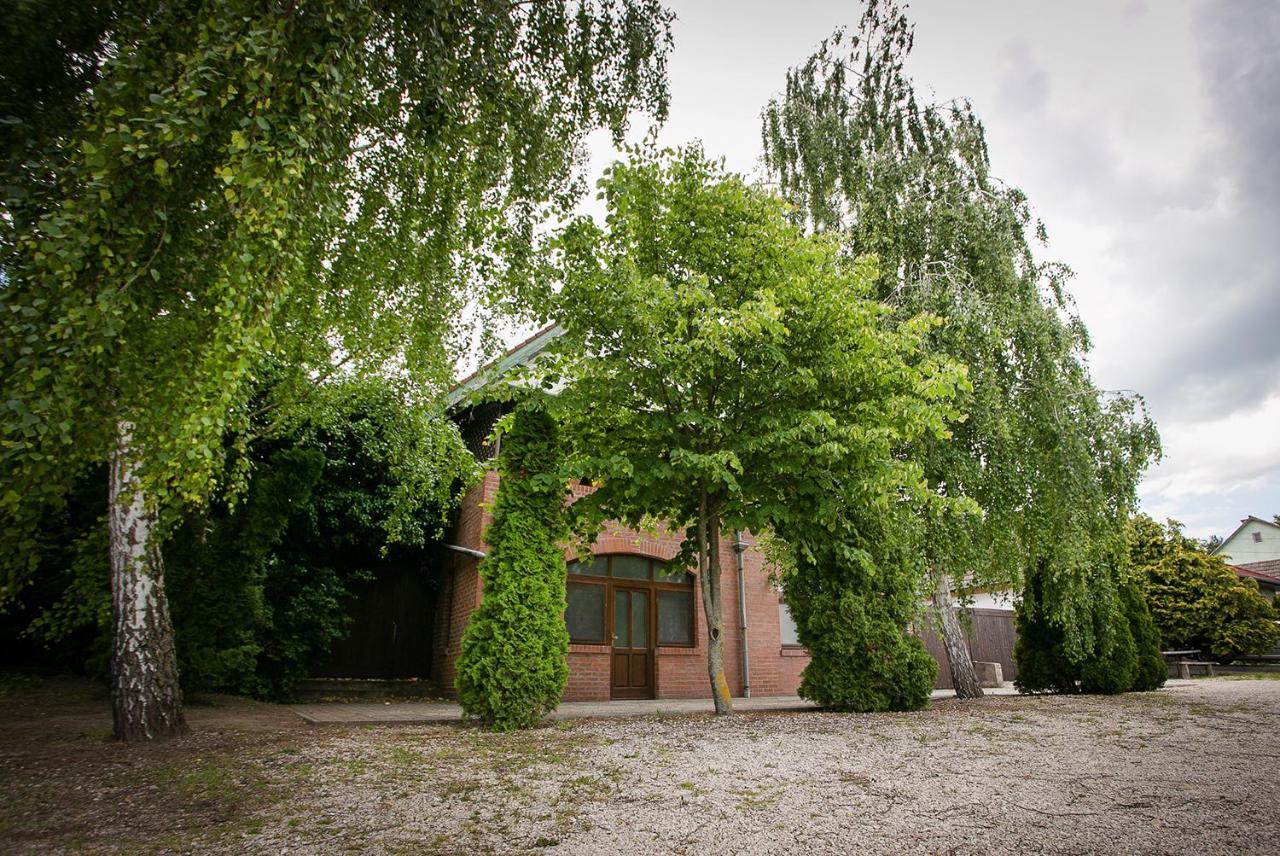 Willa Forras Vendeghaz Dunaegyhaza Zewnętrze zdjęcie