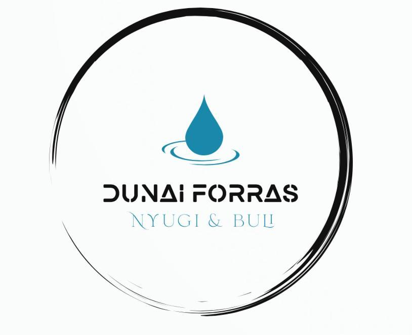 Willa Forras Vendeghaz Dunaegyhaza Zewnętrze zdjęcie